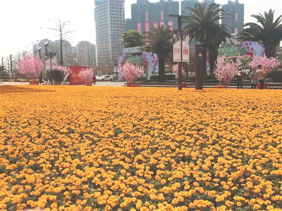 中骏世界城5000平方米花海