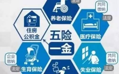 李炜光：“死亡税率”并不夸张，别等到企业过不下去了再减税