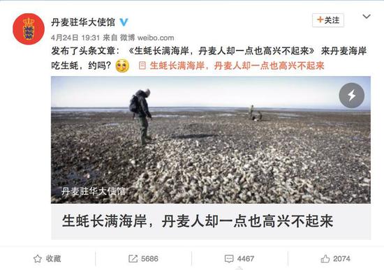 丹麦生蚝泛滥使馆紧急求助 中国网友:让我们来