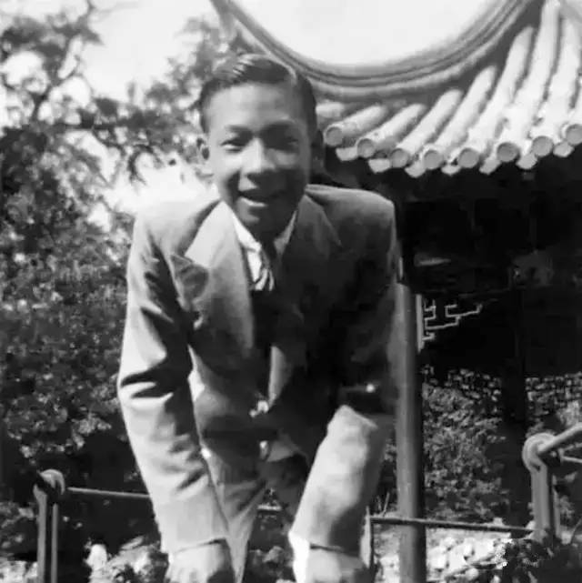 中国唯一富过15代的家族,躲过战乱,靠什么传承至今?