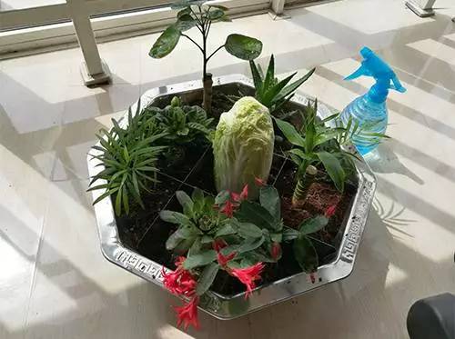 闲鱼遇到“变态”买家 知道真相后跳楼的心都有了