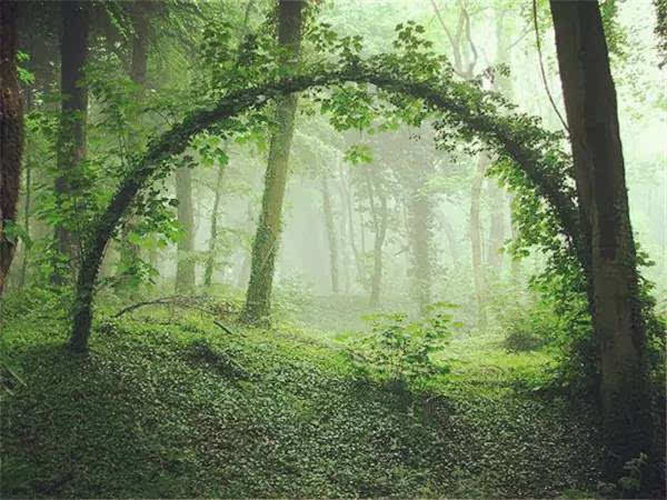 修得胸中雅量,蓄得一生幸福。