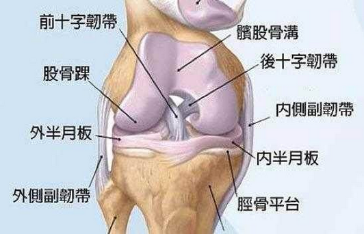 膝盖疼走路困难? 农村一种常见蔬菜, 每天擦一擦让你健步如飞!