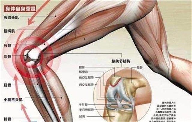 膝盖疼走路困难? 农村一种常见蔬菜, 每天擦一擦让你健步如飞!