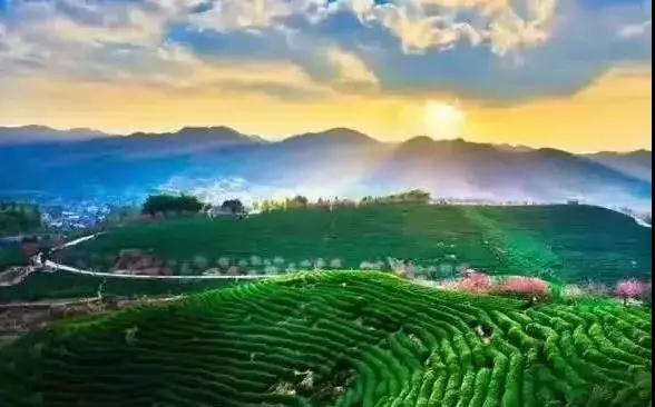 重磅！国土住建部联合放大招！共享度假小院建设获快速审批通道