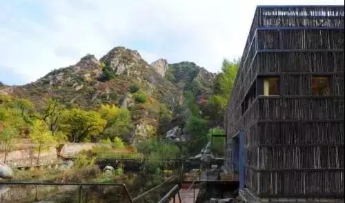 清华教授用4.5万根廉价的柴火棍，搭建了一个世外桃源！