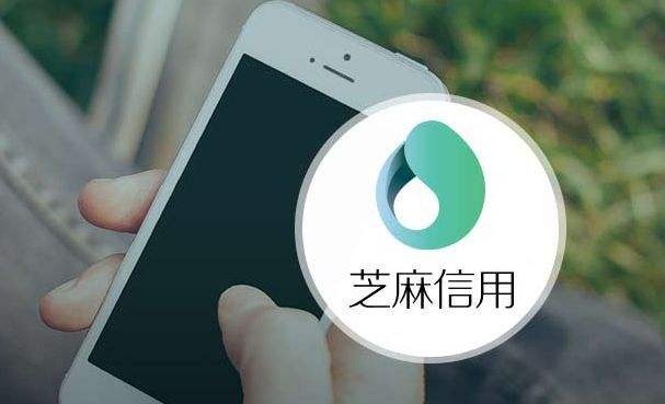 蚂蚁金服重击现金贷：芝麻信用停止服务部分机构