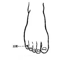 中医脚底养生 按摩＋贴敷 轻轻松松保健康 治已病 防未病 学起来
