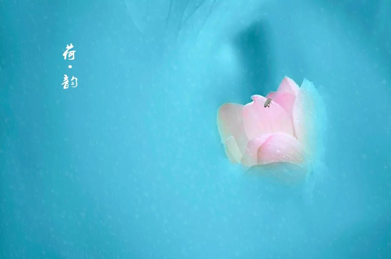 经典音乐：年底一曲《谢谢你》，致生命中帮助过我的贵人！
