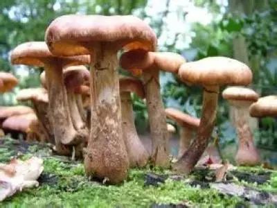 建议你看完也保存下来，百万都买不起这张健康表！（看完收藏）
