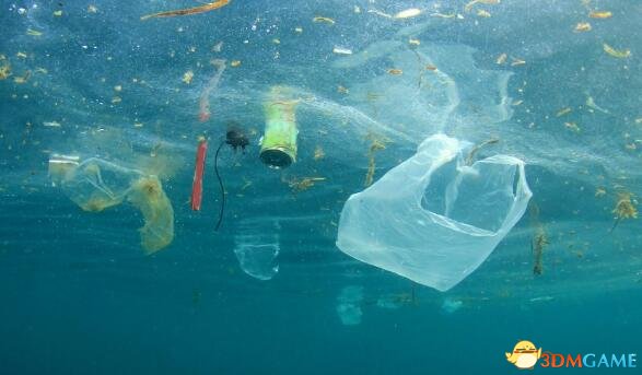 警惕白色污染！塑料袋浸泡海水后 堪比生物武器