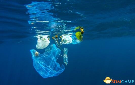 警惕白色污染！塑料袋浸泡海水后 堪比生物武器