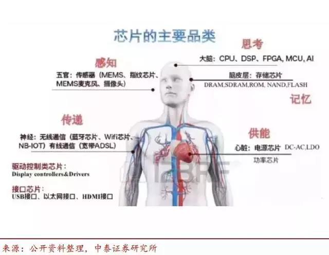 中国芯片各细分领域龙头名单！