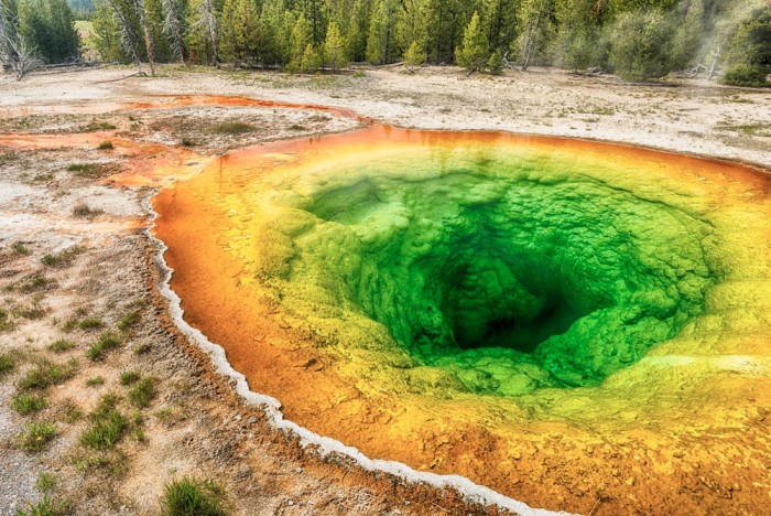 火山微生物或助科学家找到能够抗衰老的“超级英雄”蛋白质