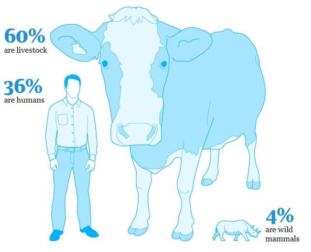 只占地球总生物量0.01%的人类消灭了83%的哺乳动物