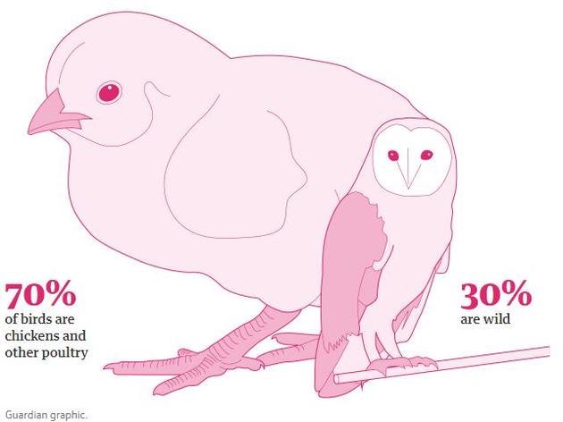 只占地球总生物量0.01%的人类消灭了83%的哺乳动物