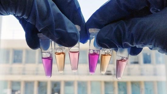 海底发现“噬光蛋白质“，帮助微生物将光线转换为能量