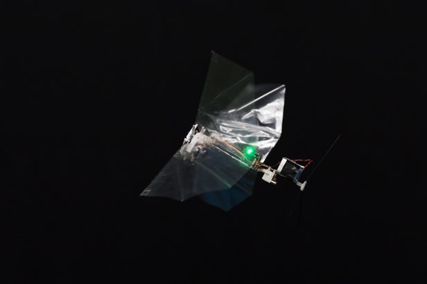 荷兰大学研制动作机敏的DelFly Nimble扑翼机器人