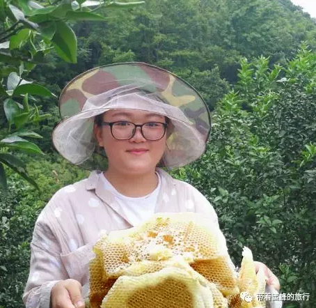 良心记者揭露蜂蜜市场惊天骗局！亲赴深山，发现土蜂蜜惊人真相！