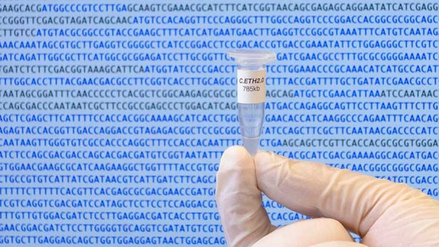 科学家创造出第一个计算机生成的基因组 未来有望出现定制合成生命形式