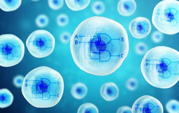 科学家研发出DNA计算机：未来程序员拿试管“写”代码？