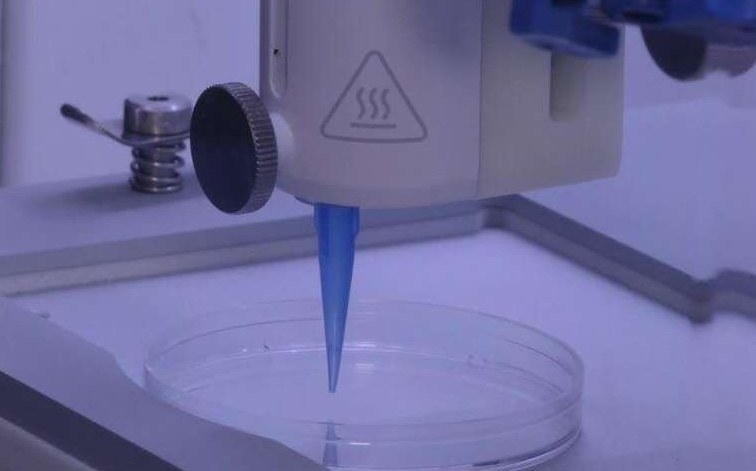 皮肤移植新突破？3D打印带血管"活皮肤"成现实