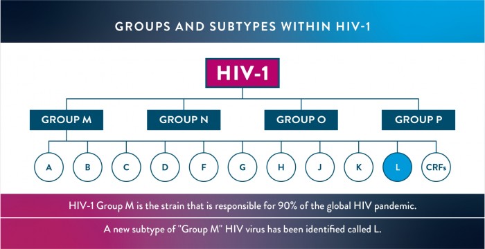 研究人员发现极其罕见的HIV新病毒株