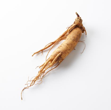 研究发现人参可以激活能燃烧能量的棕色脂肪 或有助于减肥