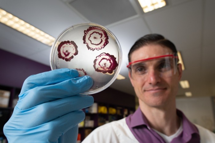 研究人员开发出混合抗生素：能穿过生物膜杀死细菌
