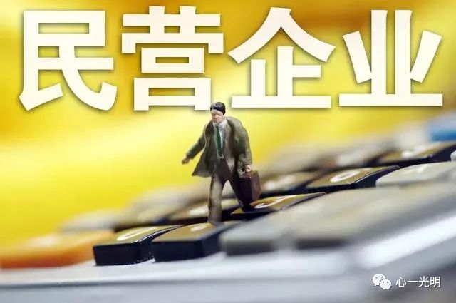 孙立平：民营企业家真正需要的是什么？