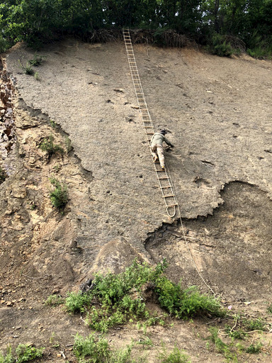 黑龙江首次发现大面积白垩纪恐龙足迹群
