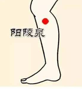 穴位就是中药,经络就是药房!太有用了!收藏吧!