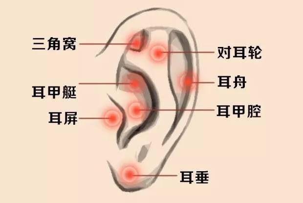 穴位就是中药,经络就是药房!太有用了!收藏吧!