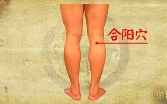 穴位就是中药,经络就是药房!太有用了!收藏吧!