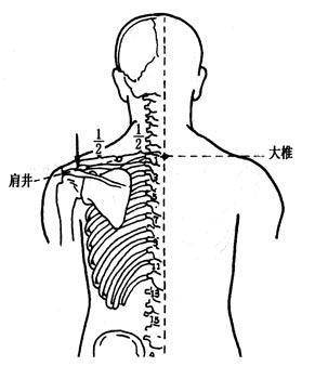 穴位就是中药,经络就是药房!太有用了!收藏吧!