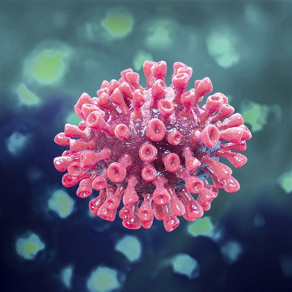 权威专家回应关于疫情认识的最新热点