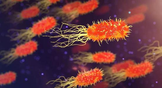 憋死超级细菌 科学家发现与青霉素作用相反抗生素