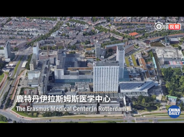 荷兰证实新冠病毒动物传人传播链：人类传给动物后再传回人类