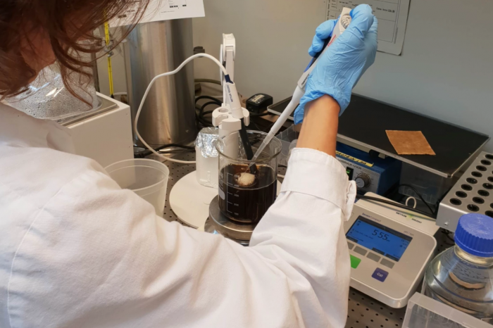 科学家使用小麦面筋制成超强吸水材料 有望用于“环保”纸尿裤