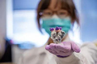《科学》报道新冠“萌面杀手”:超强抗体可快速中和病毒