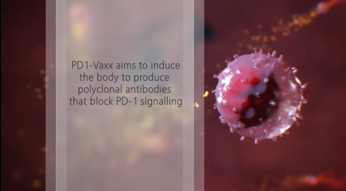 PD1-Vaxx实验性癌症疫苗通过动物试验 进入人体试验阶段