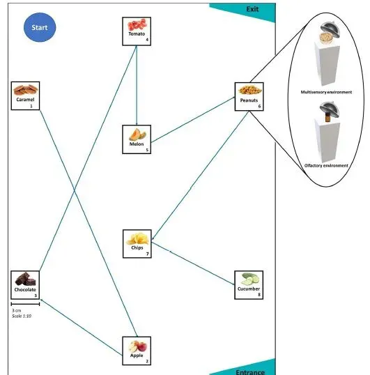 管住嘴有多难：科学家发现，大脑对高热量食物的记忆力特别强