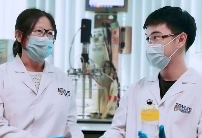 科学家找到可高效处理污水中氮磷元素的单一微生物菌株