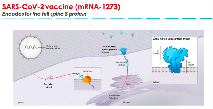 英国首个健康人接种mRNA新冠疫苗，为何该类疫苗能一战成名？