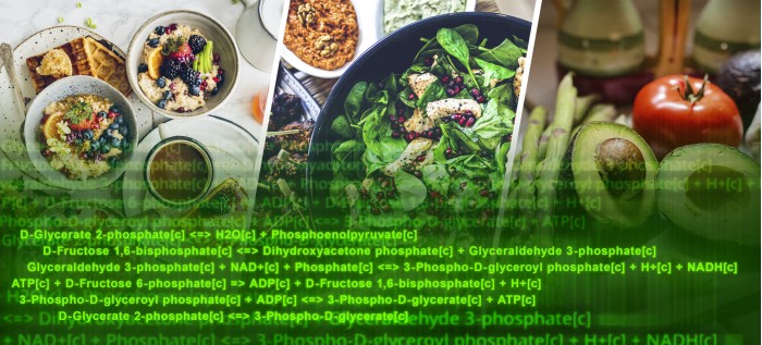 科学研究表明健康饮食可以通过计算机分析设计