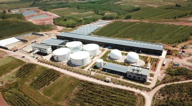 生物质废弃物如何更好地实现“变废为宝”？